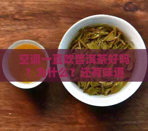 空调一直吹普洱茶好吗？为什么？还有味道