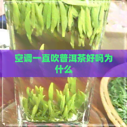 空调一直吹普洱茶好吗为什么