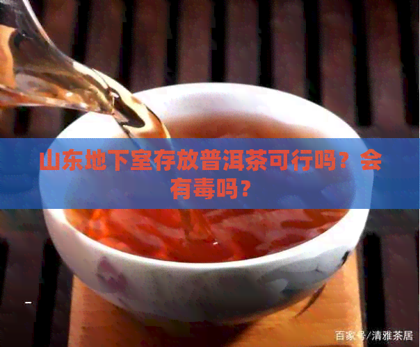 山东地下室存放普洱茶可行吗？会有吗？