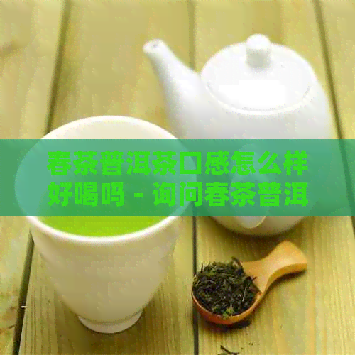 春茶普洱茶口感怎么样好喝吗 - 询问春茶普洱茶的口感和美味程度