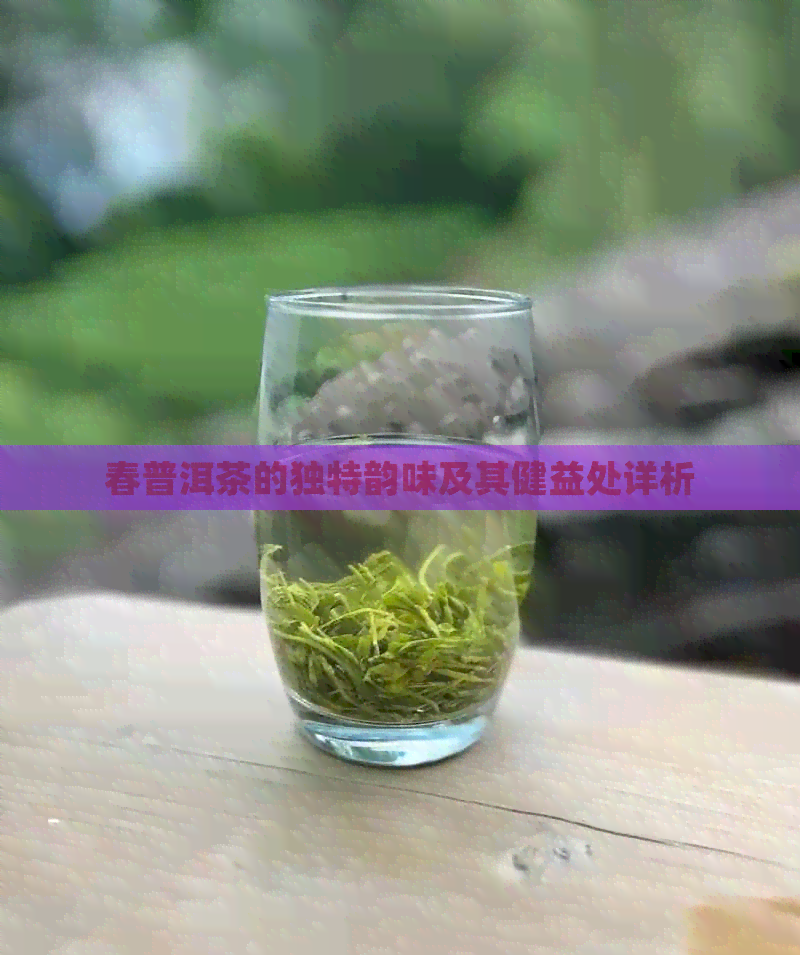 春普洱茶的独特韵味及其健益处详析