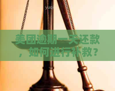 美团逾期一天还款，如何进行补救？需要支付多少滞纳金？