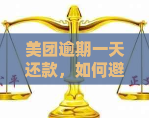 美团逾期一天还款，如何避免安全问题及解决办法