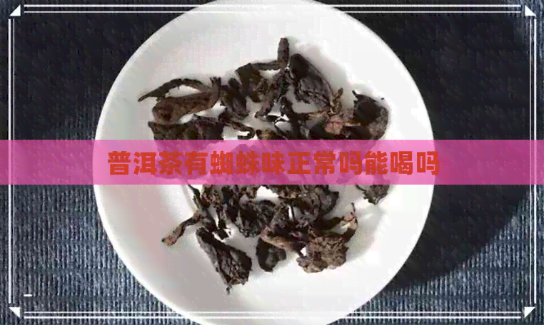 普洱茶有蜘蛛味正常吗能喝吗