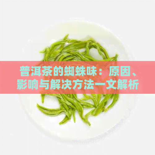 普洱茶的蜘蛛味：原因、影响与解决方法一文解析