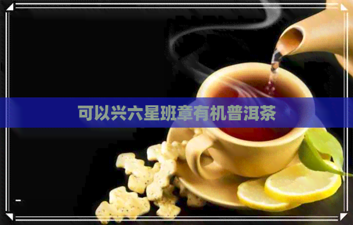 可以兴六星班章有机普洱茶