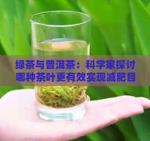 绿茶与普洱茶：科学家探讨哪种茶叶更有效实现减肥目标