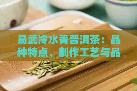 易武冷水箐普洱茶：品种特点、制作工艺与品饮技巧的全面解析