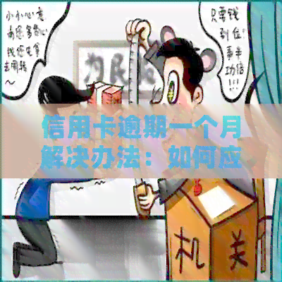 信用卡逾期一个月解决办法：如何应对和挽救？