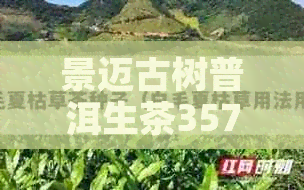 景迈古树普洱生茶357克：口感、价格及购买渠道全面解析