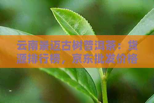 云南景迈古树普洱茶：货源排行榜，京东批发价格