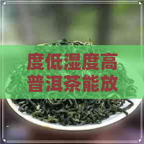 度低湿度高普洱茶能放多久