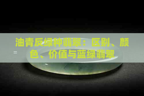 油青反绿种翡翠：区别、颜色、价值与蓝绿翡翠