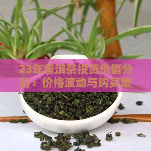 23年普洱茶投资价值分析：价格波动与购买策略