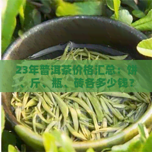 23年普洱茶价格汇总：饼、斤、瓶、砖各多少钱？