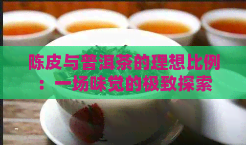 陈皮与普洱茶的理想比例：一场味觉的极致探索