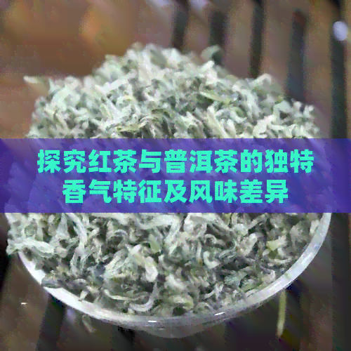 探究红茶与普洱茶的独特香气特征及风味差异