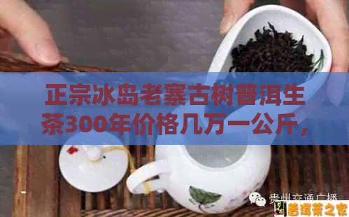 正宗冰岛老寨古树普洱生茶300年价格几万一公斤，特点及制作工艺全解析