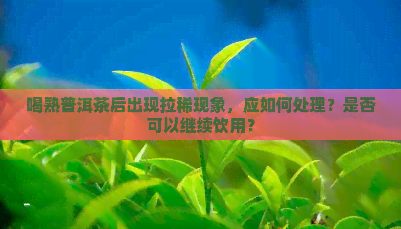 喝熟普洱茶后出现拉稀现象，应如何处理？是否可以继续饮用？