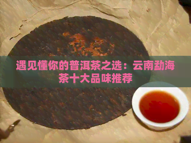 遇见懂你的普洱茶之选：云南勐海茶十大品味推荐