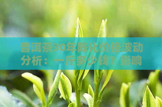 普洱茶30年陈化价格波动分析：一斤多少钱？影响因素有哪些？