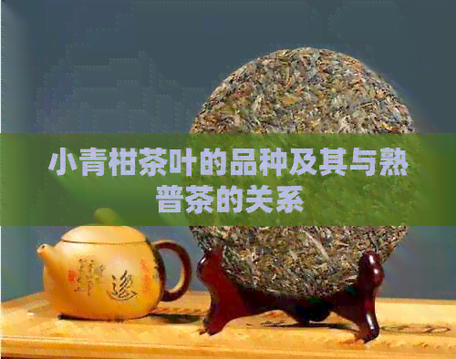 小青柑茶叶的品种及其与熟普茶的关系