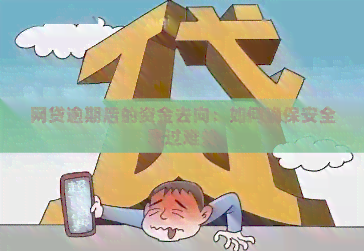 网贷逾期后的资金去向：如何确保安全度过难关