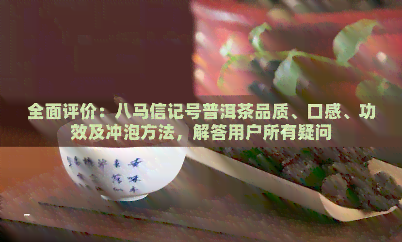 全面评价：八马信记号普洱茶品质、口感、功效及冲泡方法，解答用户所有疑问