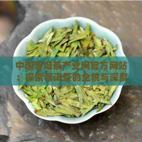 中国普洱茶产业网官方网站：探索普洱茶的全貌与深度，解答您的所有疑问