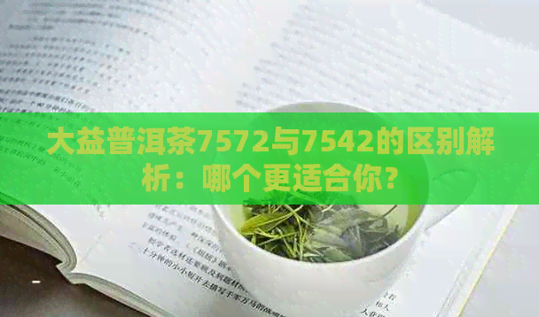 大益普洱茶7572与7542的区别解析：哪个更适合你？