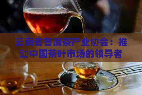 云南省普洱茶产业协会：推动中国茶叶市场的领导者