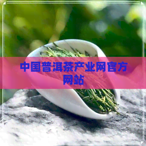 中国普洱茶产业网官方网站