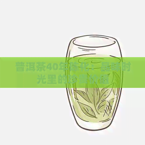 普洱茶40年陈化：品味时光里的珍贵价值