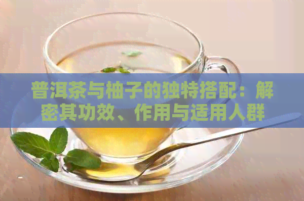 普洱茶与柚子的独特搭配：解密其功效、作用与适用人群