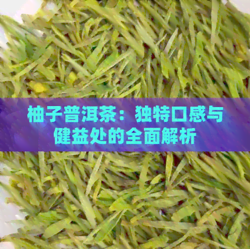 柚子普洱茶：独特口感与健益处的全面解析