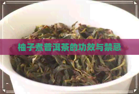 柚子煮普洱茶的功效与禁忌