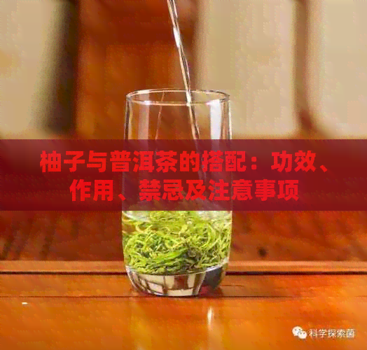 柚子与普洱茶的搭配：功效、作用、禁忌及注意事项