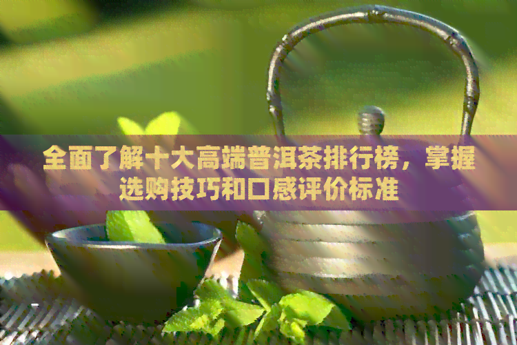 全面了解十大高端普洱茶排行榜，掌握选购技巧和口感评价标准