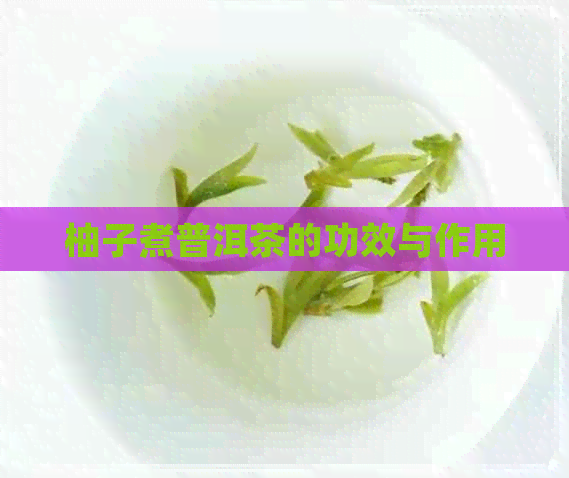 柚子煮普洱茶的功效与作用