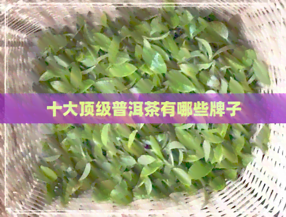 十大顶级普洱茶有哪些牌子