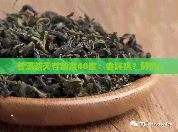 普洱茶天存放度40度：会坏吗？好吗？