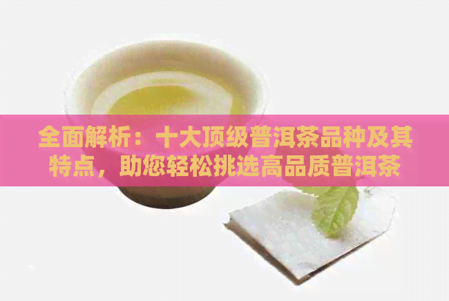 全面解析：十大顶级普洱茶品种及其特点，助您轻松挑选高品质普洱茶