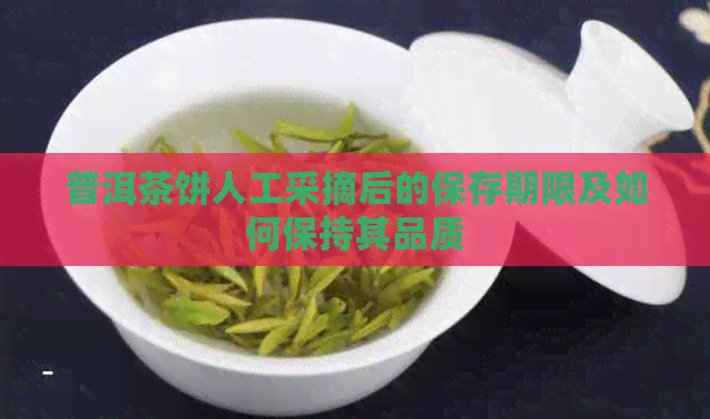 普洱茶饼人工采摘后的保存期限及如何保持其品质