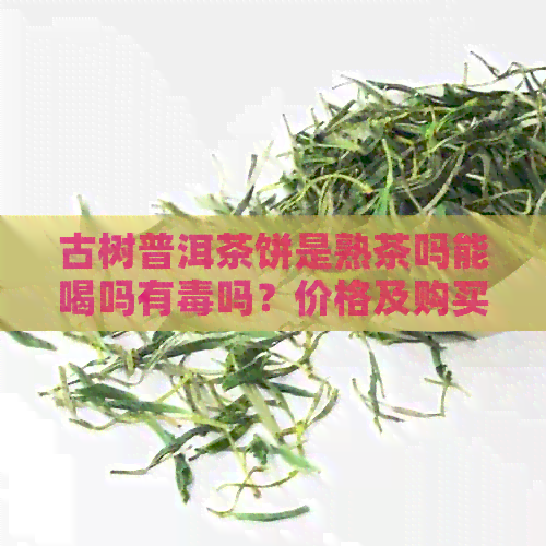 古树普洱茶饼是熟茶吗能喝吗有吗？价格及购买指南