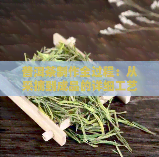 普洱茶制作全过程：从采摘到成品的详细工艺解析，了解普洱茶的魅力与品质