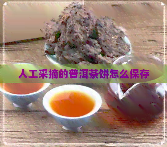 人工采摘的普洱茶饼怎么保存