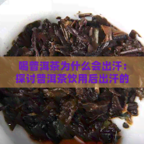 喝普洱茶为什么会出汗：探讨普洱茶饮用后出汗的原因与影响