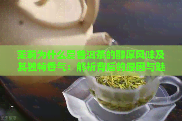 茉莉为什么爱普洱茶的醇厚风味及其独特香气：解析背后的原因与魅力