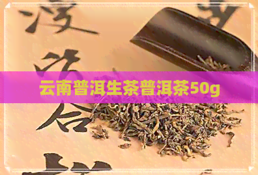 云南普洱生茶普洱茶50g