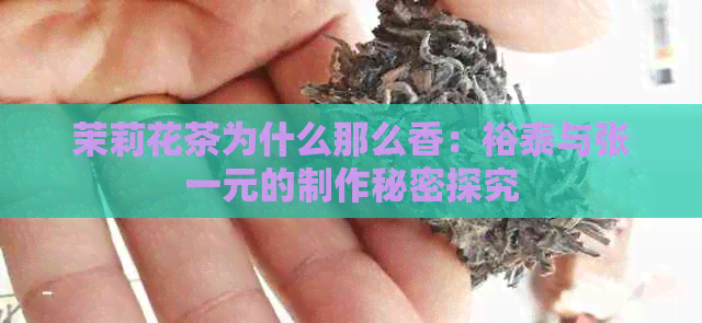 茉莉花茶为什么那么香：裕泰与张一元的制作秘密探究